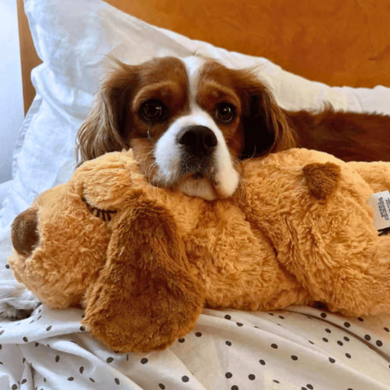 Calmee™ Companion - A Mother's Heart beat