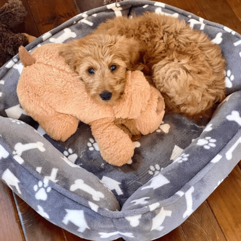 Calmee™ Companion - A Mother's Heart beat