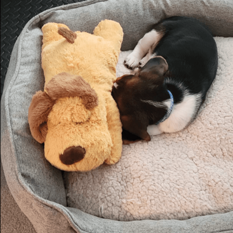 Calmee™ Companion - A Mother's Heart beat