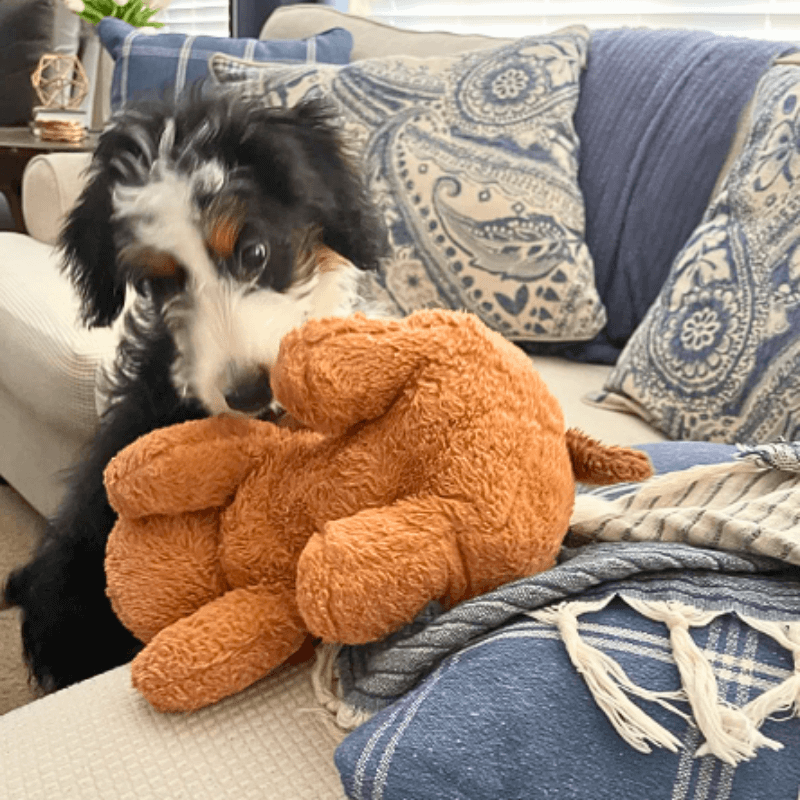 Calmee™ Companion - A Mother's Heart beat