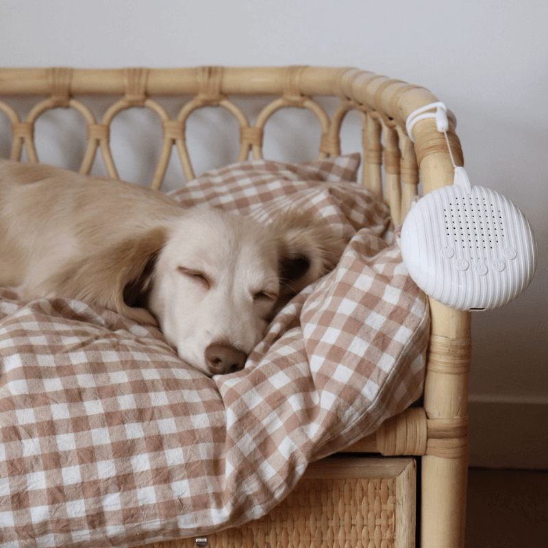 Calmee™ Premium Snooze Pod