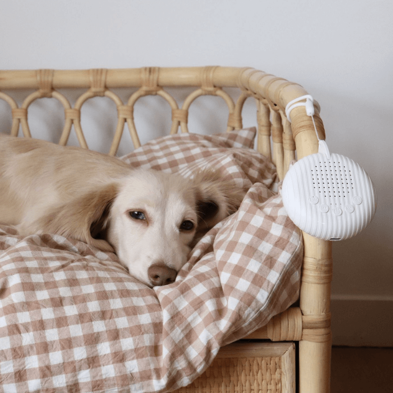 Calmee™ Premium Snooze Pod