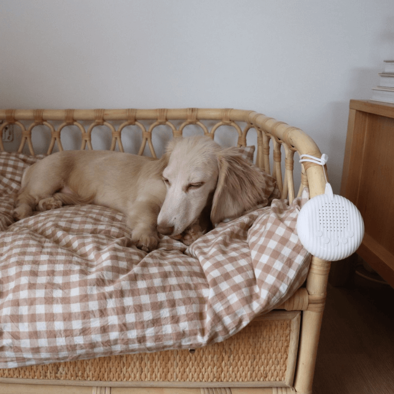 Calmee™ Premium Snooze Pod