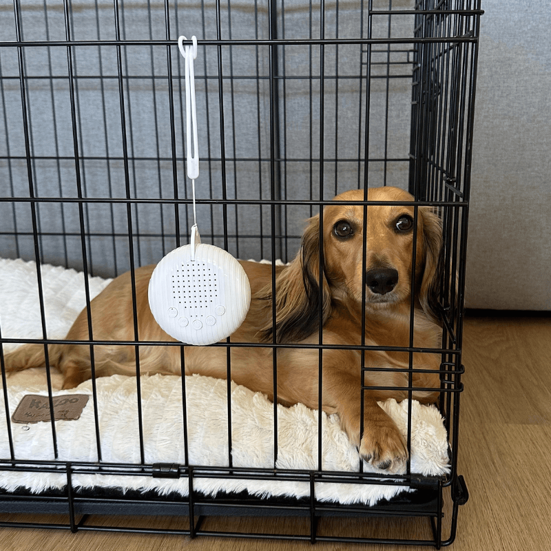 Calmee™ Premium Snooze Pod