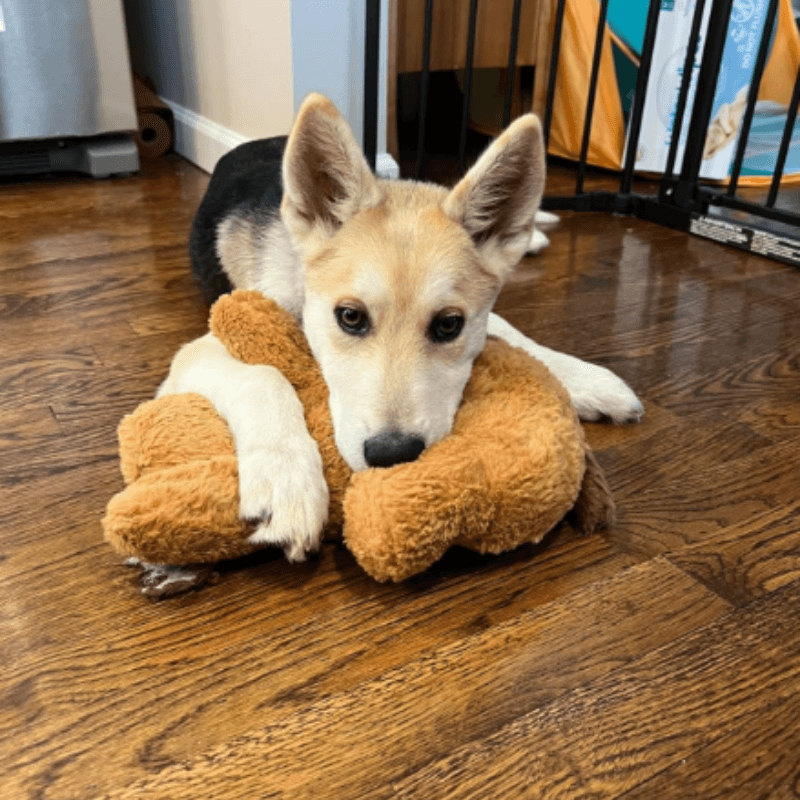 Calmee™ Companion - A Mother's Heart beat