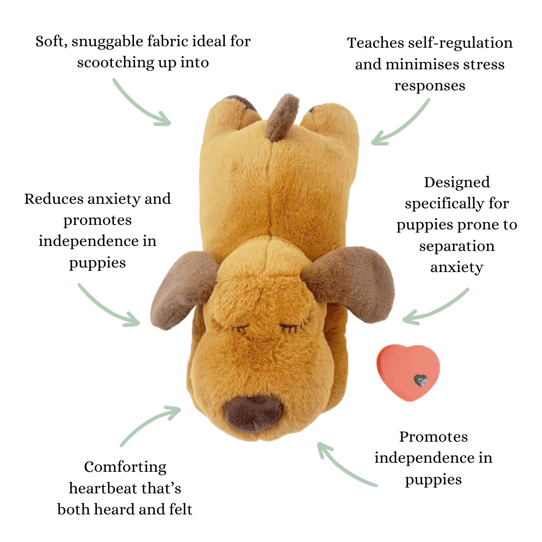 Calmee⢠Gifting Bundle