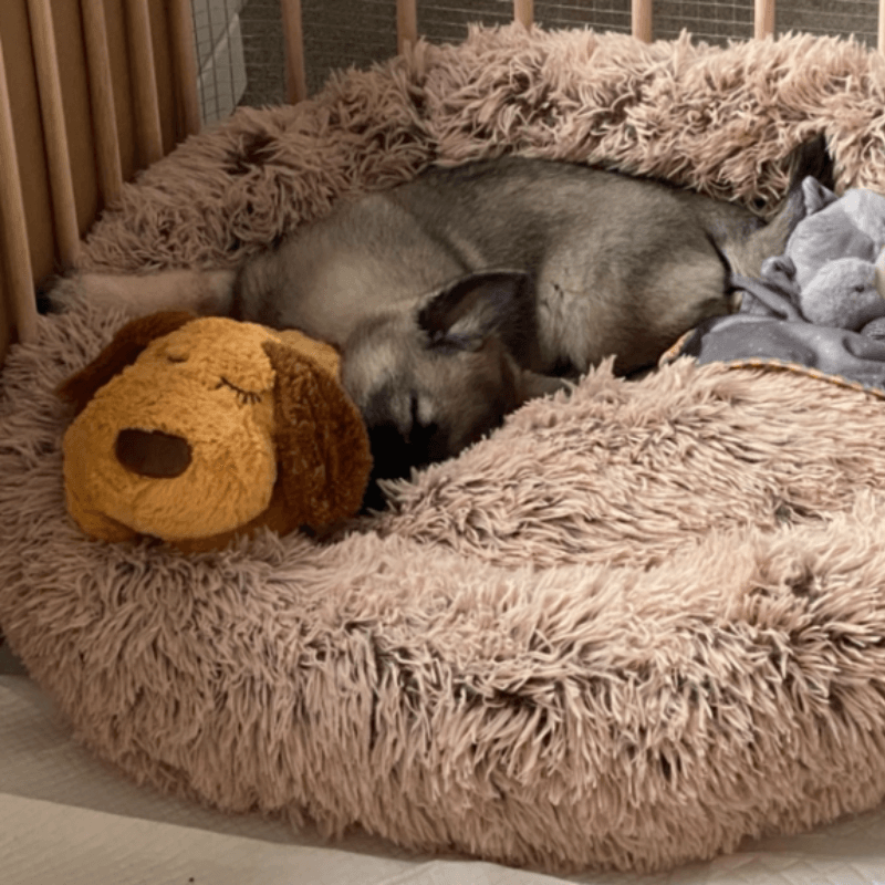 Calmee™ Companion - A Mother's Heart beat